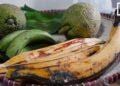 RECETTE – La plantain en version « Sawaba fontsy lahy »