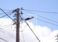 ENERGIE – La durée des coupures tournantes d’électricité pour délestage passe à quatre heures par jour par localité ce lundi