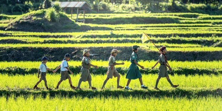 ASSOCIATION – Madagascar accueille trois événements du mouvement scout en 2025