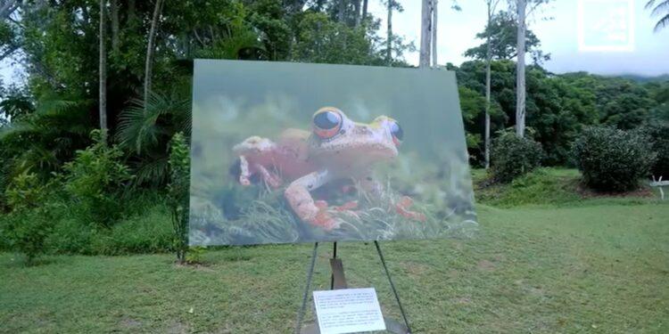 ART VISUEL – La biennale de Nahampoana, une première édition au carrefour des domaines artistiques