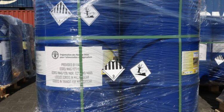 CATASTROPHE – Les criquets signalés à Tolagnaro ce week-end, 80 000 litres de pesticides arrivés à Toliara