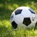 FOOTBALL – Une soixantaine de jeunes joueurs U17 et U20 inscrits pour la détection des binationaux effectuée par la FMF en France