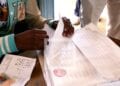 ELECTION – 386 621 nouveaux électeurs dans la liste électorale après la révision annuelle