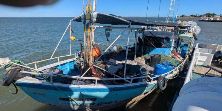 PÊCHE ILLÉGALE – Un navire srilankais avec 16 tonnes de requins saisi au large de Besalampy