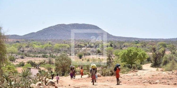 SITUATION ALIMENTAIRE – Madagascar parmi les 41 pays et territoires nécessitant une aide extérieure pour leur alimentation