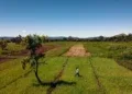 SÉCURITÉ ALIMENTAIRE – L’Union européenne et la France financent un nouveau programme pour la transition agroécologique dans l’Indianocéanie