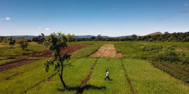 SÉCURITÉ ALIMENTAIRE – L’Union européenne et la France financent un nouveau programme pour la transition agroécologique dans l’Indianocéanie