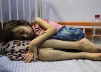 MOYEN-ORIENT – L’ONU confirme une situation de famine à Gaza et appelle à un cessez-le-feu immédiat