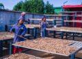 FINANCES – BNI MADAGASCAR lance la deuxième édition du programme « BNI Lovainjafy » à travers deux concours pour donner de l’élan aux projets impactant