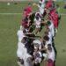 QUALIFICATION MONDIAL 2026 – Les Barea A accueillent sous une haie d’honneur les sept joueurs vice-champions d’Afrique