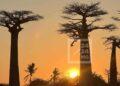 MORONDAVA – Le Nord de l’Allée des Baobabs frappée par un incendie désormais maîtrisé