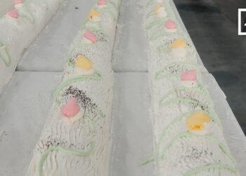 FESTIVITÉS – Une bûche longue de 322 mètres pour célébrer Noël au profit des enfants démunis
