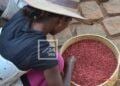 COMMERCE EXTÉRIEUR – 226 900 tonnes de céréales, épices, fruits et légumes exportés par Madagascar en 2025