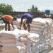CONSOMMATION – La quantité du riz importé mis à la consommation à Madagascar franchit la barre des 800 000 tonnes en 2025