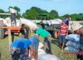 COMMERCE – Le SPM achètera jusqu’à 200 tonnes par semaine de paddy à 1 700 ariary par kilo dans l’Alaotra Mangoro