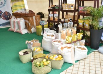 PRODUCTION – Les acteurs appelés à accélérer la transformation des produits agricoles, de l’élevage et de la pêche lors de la FIA 2026