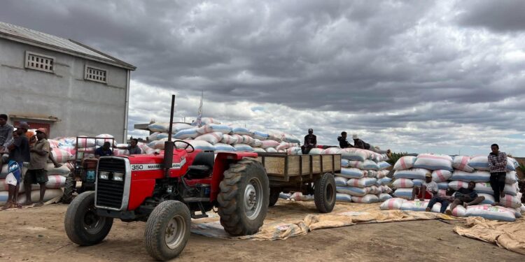 COMMERCE – La SPM SA envisage d’acheter 1 500 tonnes de paddy dans l’Alaotra
