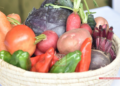 NUTRITION – 77 % des enfants malgaches n’ont pas une alimentation suffisamment diversifiée, selon le ministère de l’Agriculture et de la souveraineté alimentaire