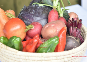 NUTRITION – 77 % des enfants malgaches n’ont pas une alimentation suffisamment diversifiée, selon le ministère de l’Agriculture et de la souveraineté alimentaire