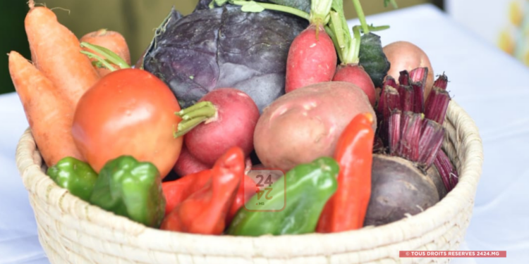 NUTRITION – 77 % des enfants malgaches n’ont pas une alimentation suffisamment diversifiée, selon le ministère de l’Agriculture et de la souveraineté alimentaire