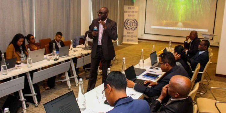 EMPLOIS VERTS – Madagascar entend faire de la transition écologique un nouveau terrain pour l’employabilité des jeunes