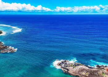 CONSERVATION MARINE – La Baie d’Antongil rejoint la liste des aires marines protégées de Madagascar