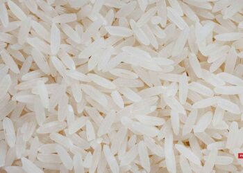 COMMERCE – L’ANMCC ouvre une enquête de sauvegarde sur plusieurs catégories de riz importé